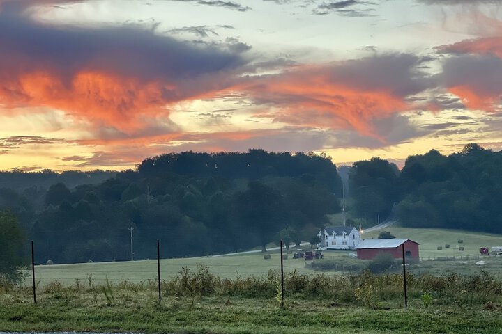The Dogwood Inn