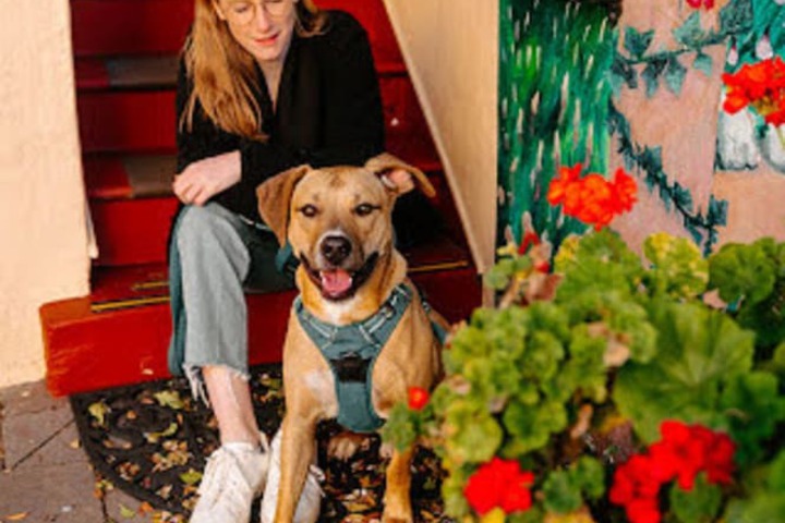 Pet Friendly 81 of 83