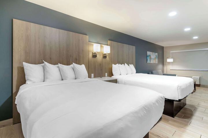 Best Western Plus Edinburg Inn & Suites