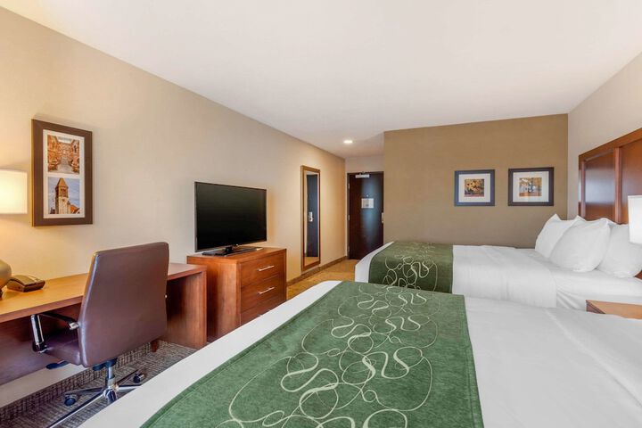 Comfort Inn & Suites Schenectady - Scotia