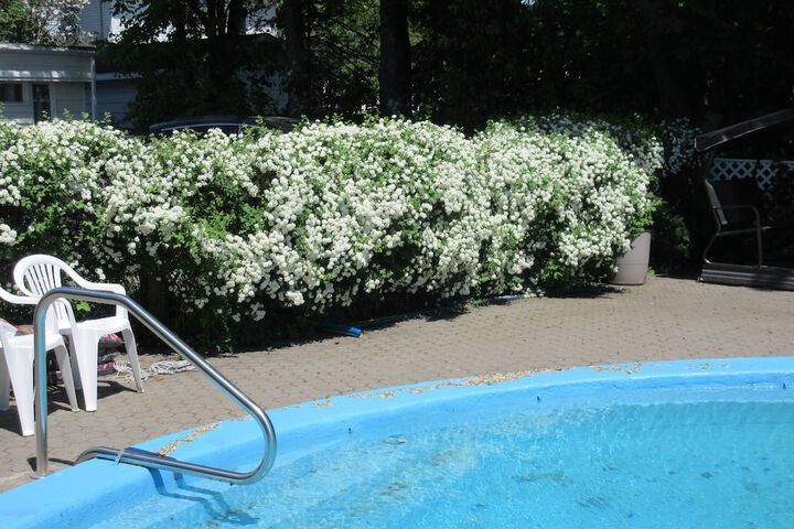 Pool 5 of 42