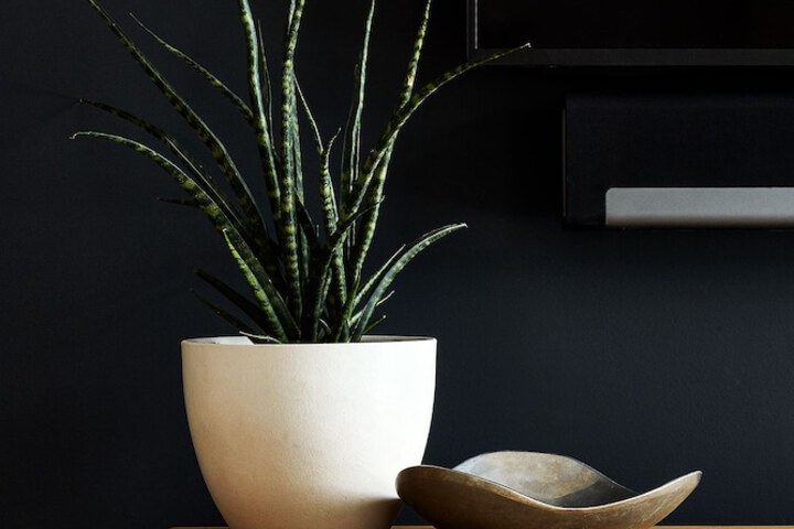 Lokal Hotel Fishtown