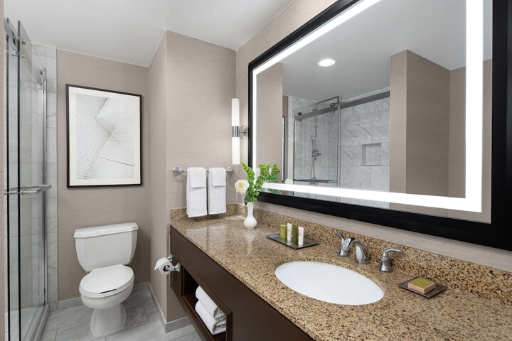 Hilton Indianapolis Hotel & Suites