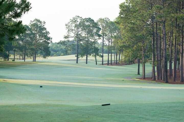 Golf 13 of 17