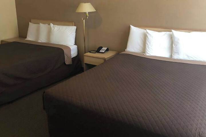 M Star Hotel Mansfield