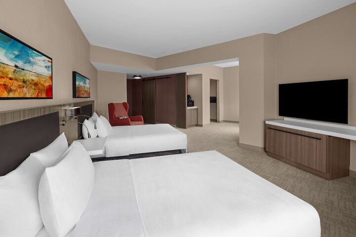 Hilton Garden Inn Grand Prairie at Epiccentral