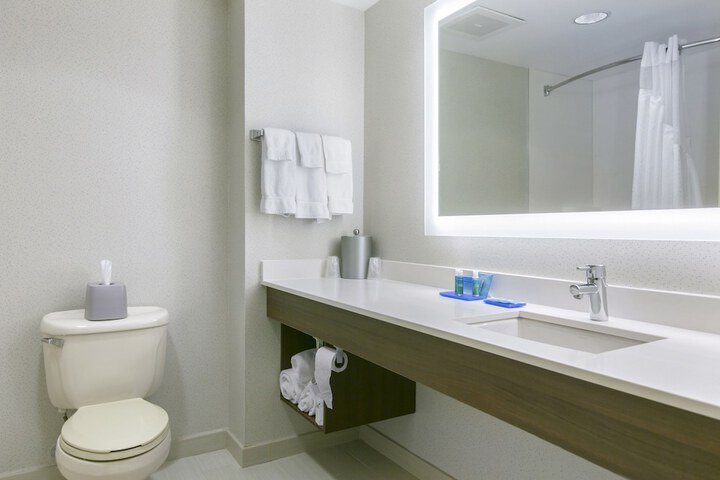 Holiday Inn Express Hotel & Stes Mt. Arlington Rockaway Area by IHG