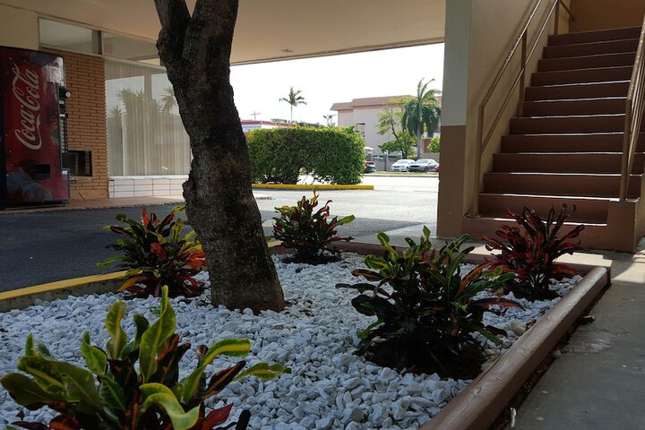Hotel 4 of 47
