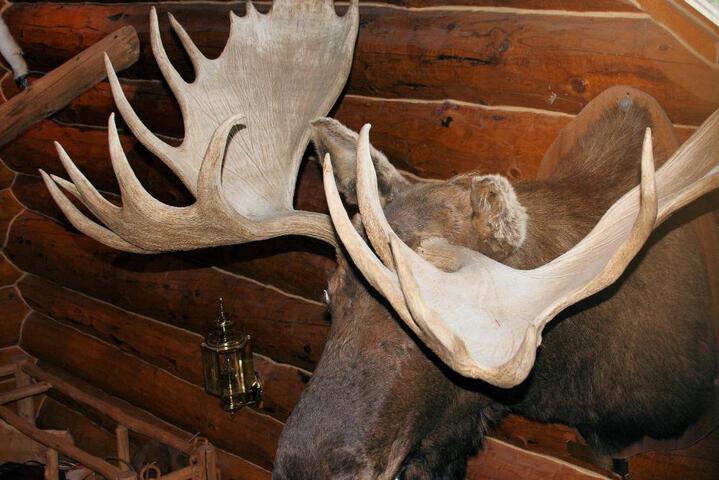 Wise Old Hunter Lodge