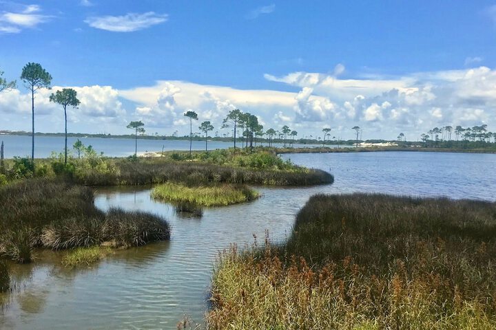 Hotel Indigo Orange Beach - Gulf Shores by IHG