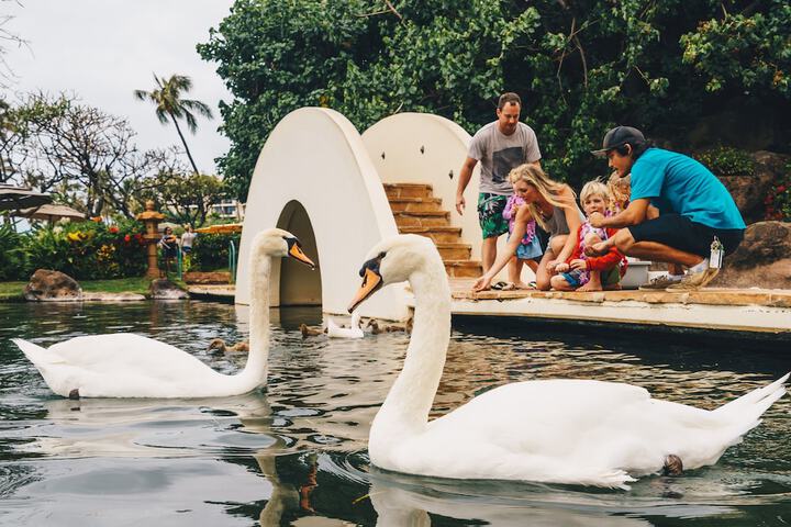 Hyatt Regency Maui Resort & Spa