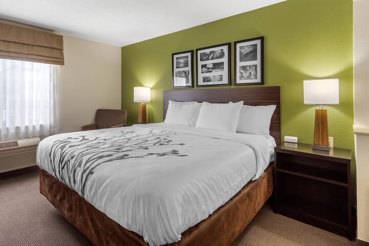 Sleep Inn & Suites Allendale
