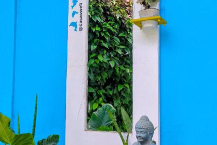 Casa Swell Hostel