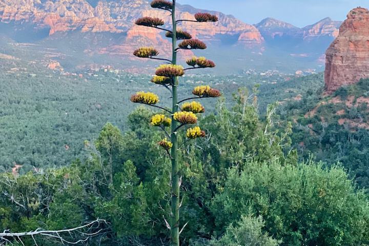 The Grand Canyon Headquarters