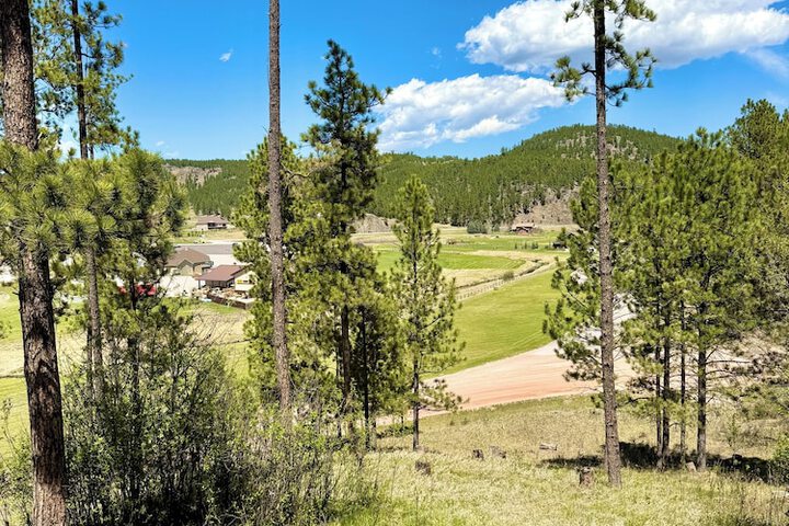 Mountain View Lodge & Cabins