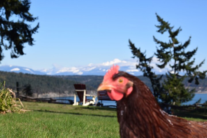 The Bluff on Whidbey B & B