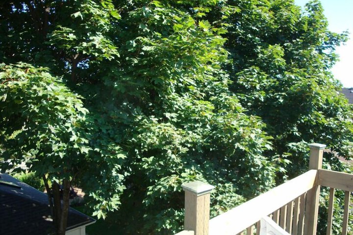 Terrace/Patio 22 of 26
