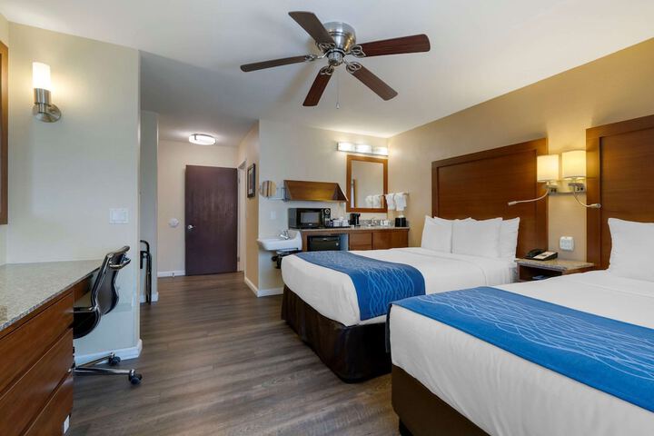 Room 30 of 49