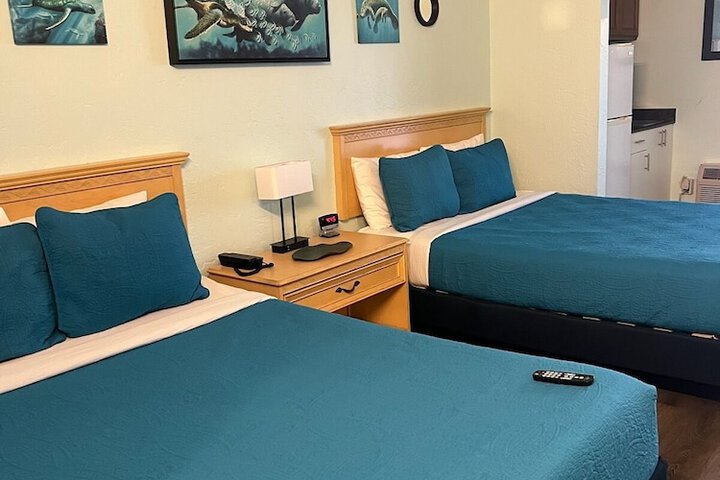 Room 20 of 64