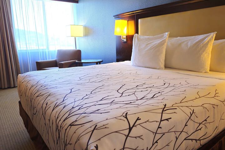 Best Western Plus Coeur dAlene Inn