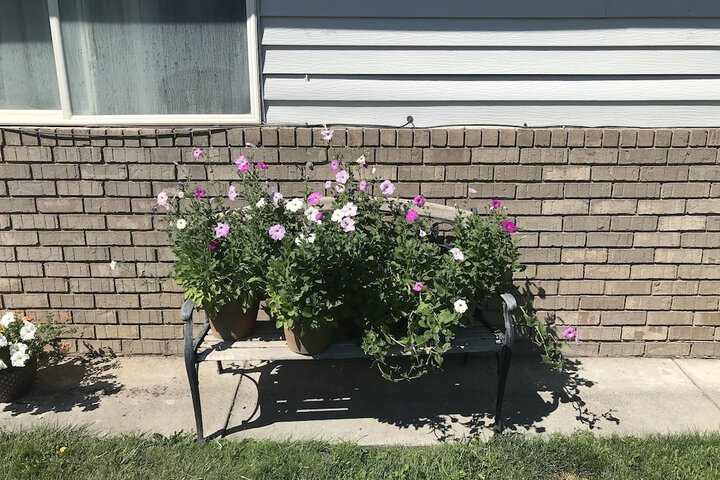 Terrace/Patio 11 of 13