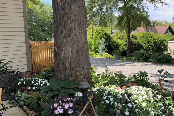 Hotel Exterior 125 of 128