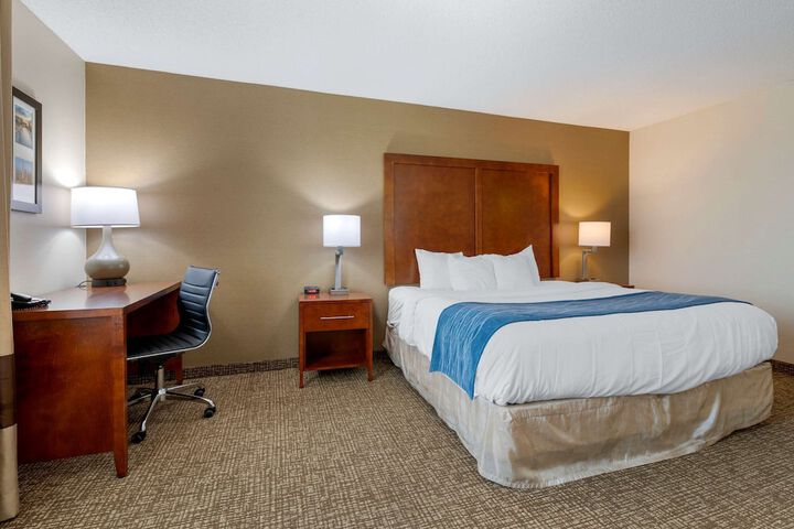 Comfort Inn Anderson South
