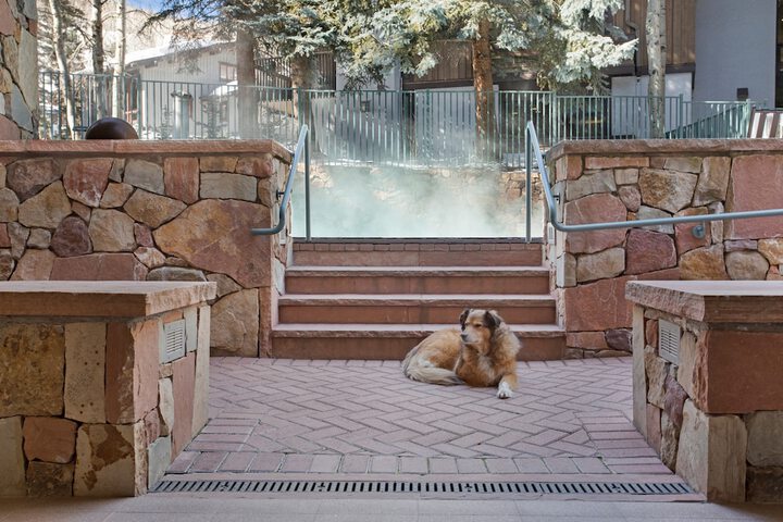 Pet Friendly 27 of 29