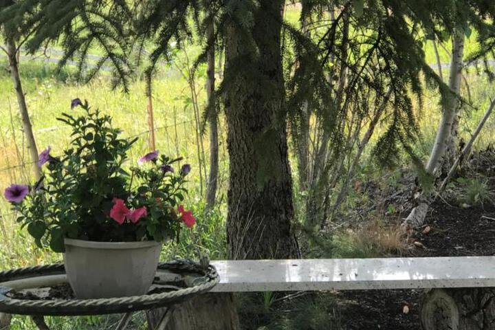 Rolling Hills Country Resort Bed and Breakfast