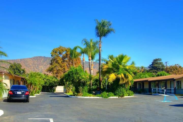 Palm Tropics Motel