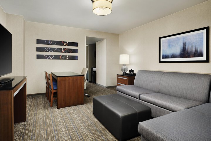 Embassy Suites by Hilton Chicago Downtown Magnificent Mile