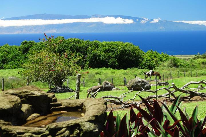 Kohala Lodge- Vacation Rental House