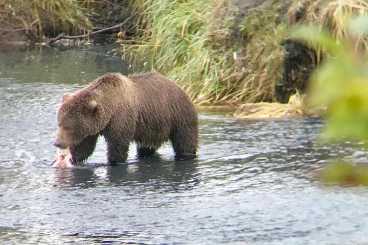 Goldilocks Bed & Breakfast