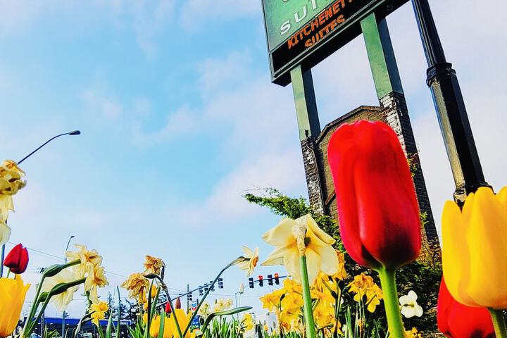 Coachman Inn & Suites