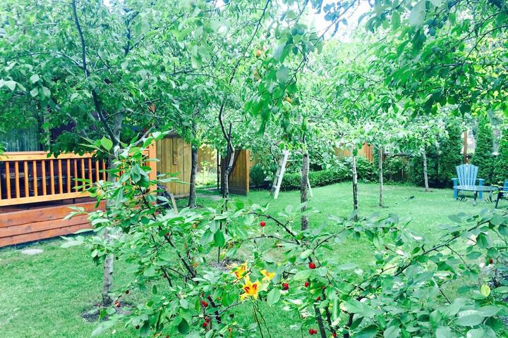 Property Grounds 43 of 43