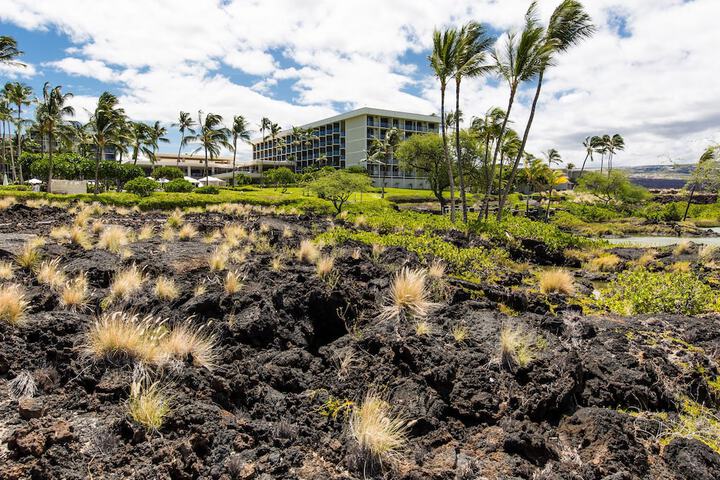 Marriotts Waikoloa Ocean Club