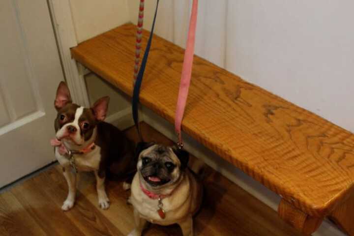 Pet Friendly 49 of 53