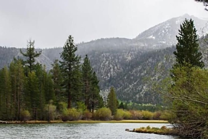 June Lake Motel