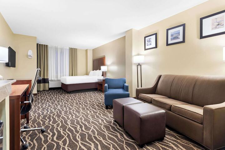 Comfort Suites Tampa Airport North