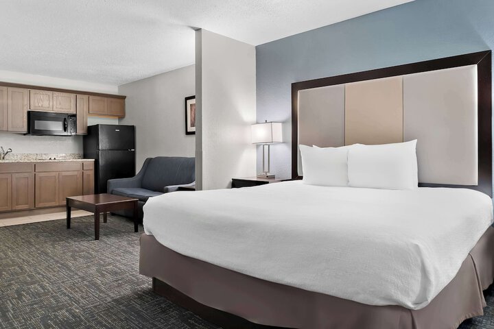 Best Western Plus Flint Airport Inn & Suites