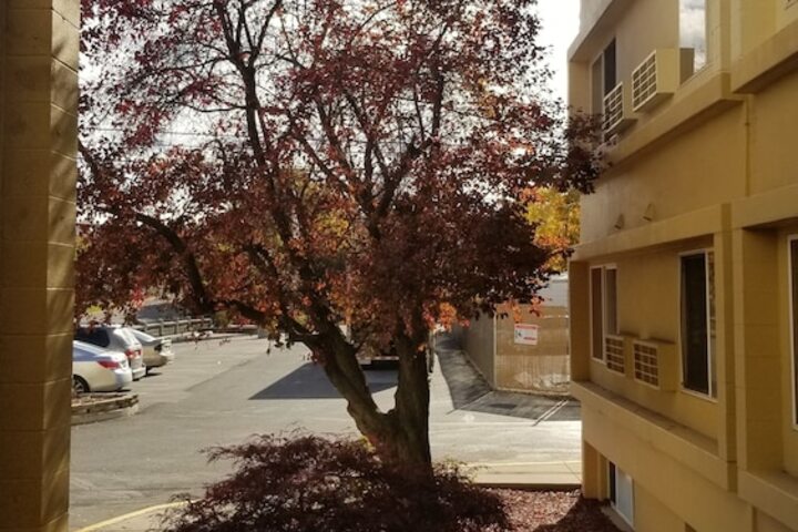 Property Grounds 32 of 32