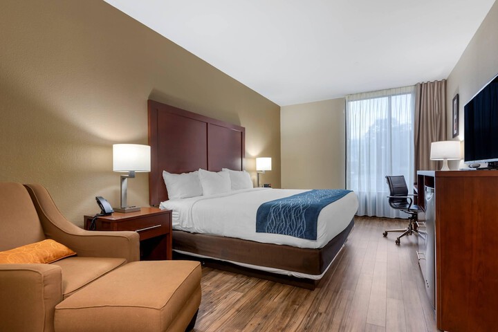 Comfort Inn Binghamton I-81