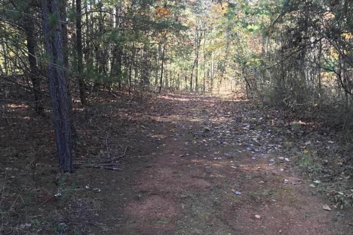 Moore Road Cabin 1 Pet Friendly