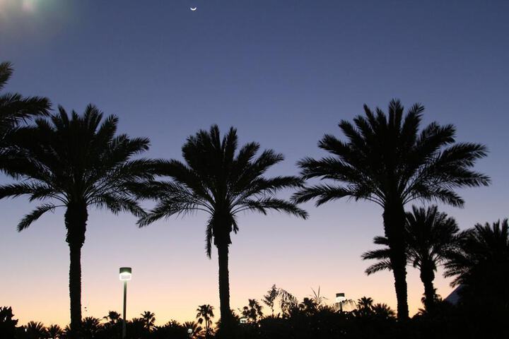 Moody Gardens Hotel Spa and Convention Center