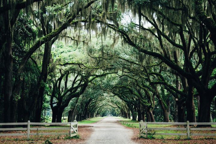 Hotel Indigo Savannah Historic District by IHG