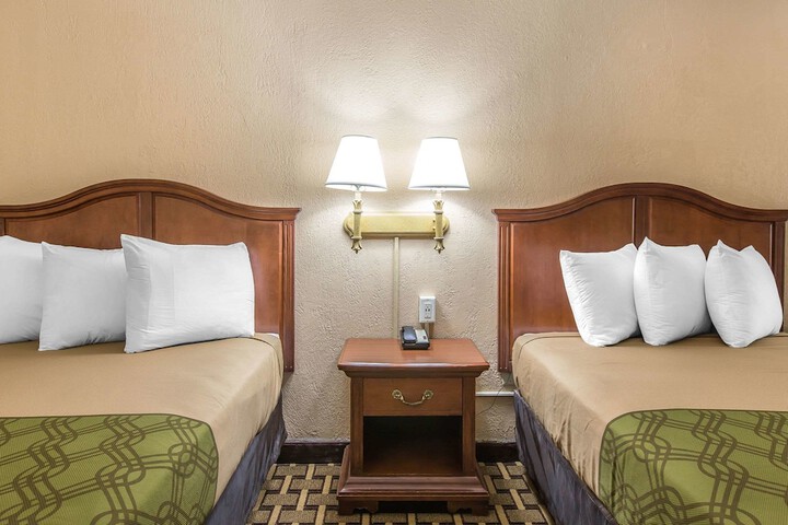 Room 8 of 24