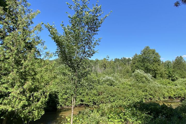 Betsie Riverside Resort