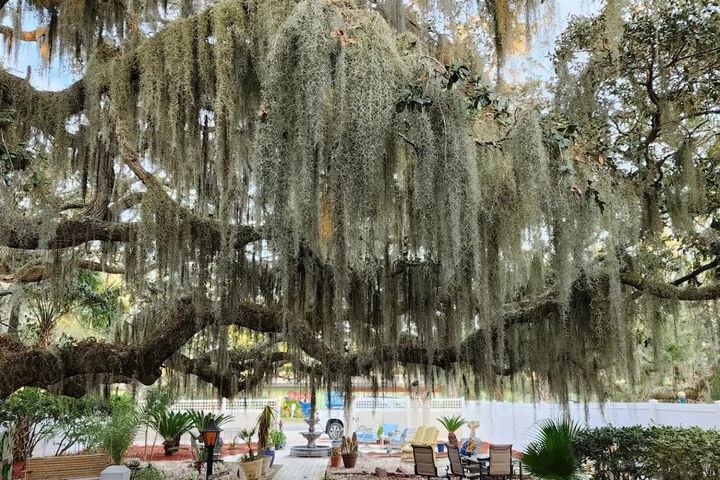 Tybee Island Inn