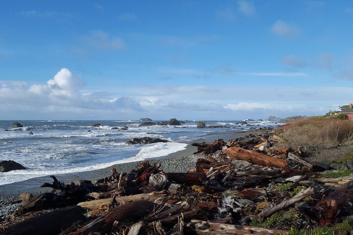 Beach 48 of 55