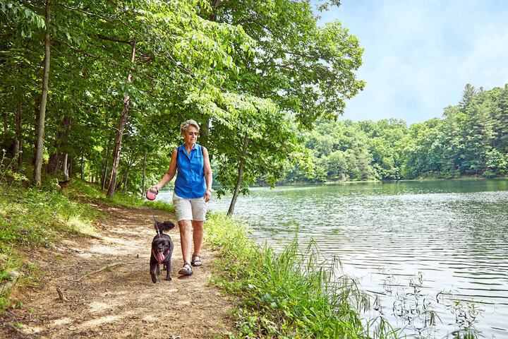 Pet Friendly 38 of 51